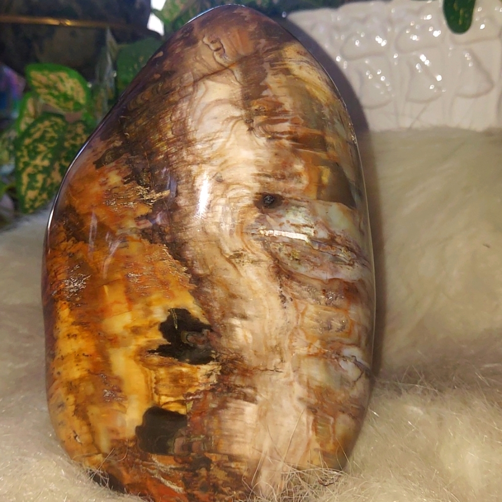Grounding Pertrified Wood Earthy Crystal for Stability